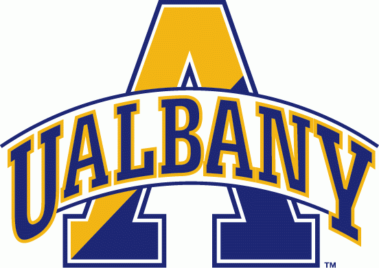 Albany Great Danes 2004-Pres Alternate Logo v4 diy DTF decal sticker